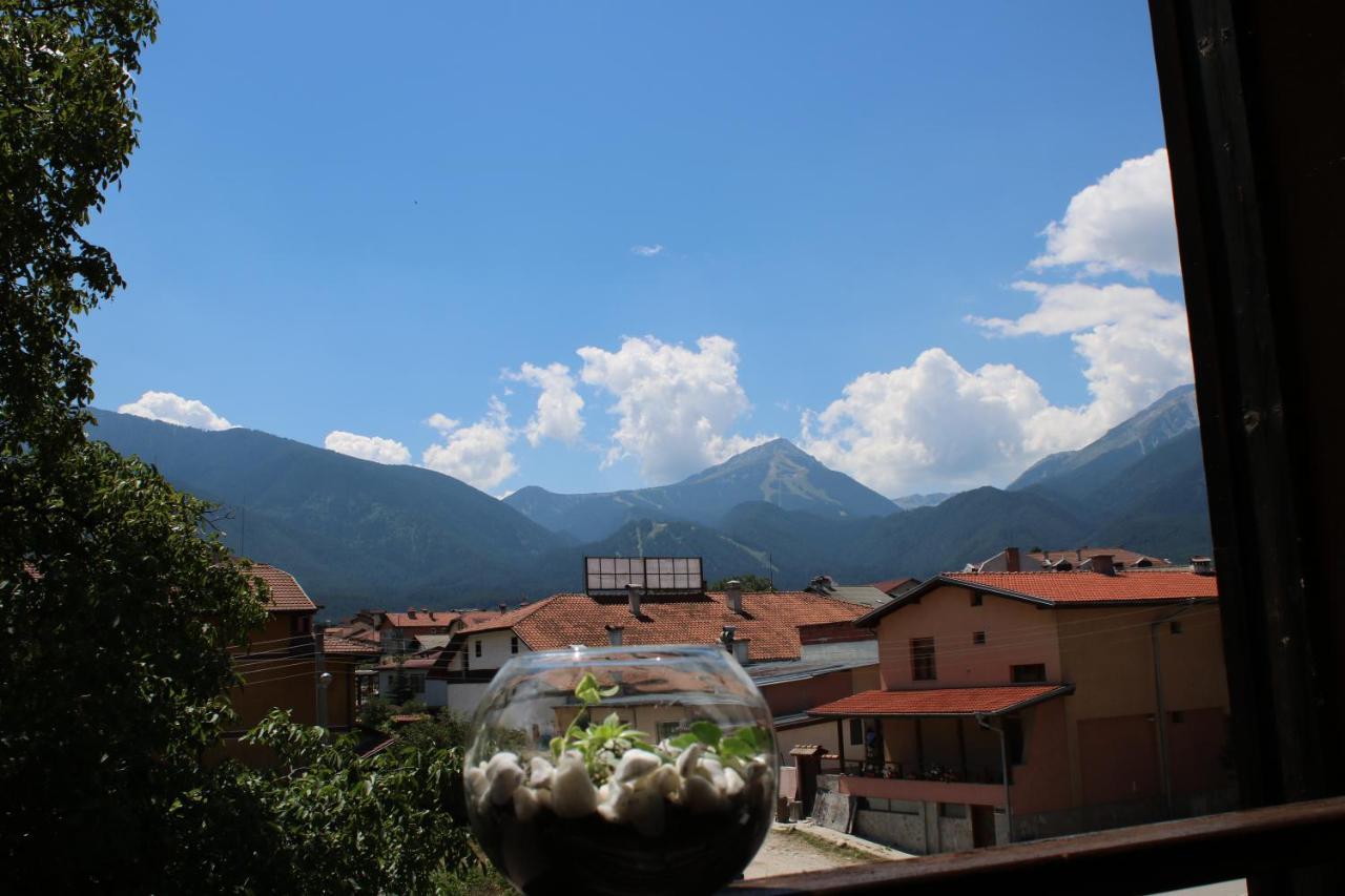 Hotel North Star Bansko Zewnętrze zdjęcie